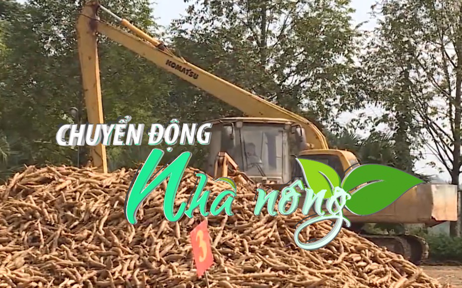 Chuyển động Nhà nông 27/3: Doanh nghiệp muốn đối thoại về vụ dừng hoàn thuế VAT xuất khẩu sắn