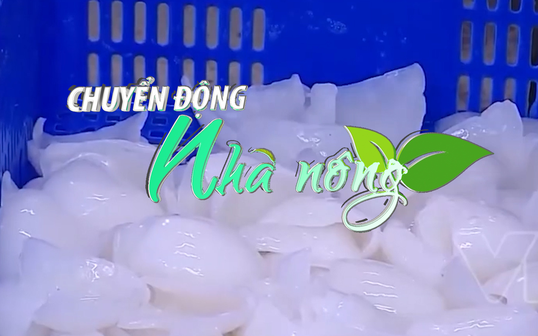 Chuyển động Nhà nông 8/3: Xuất khẩu thủy sản đạt mốc ấn tượng sau 2 tháng