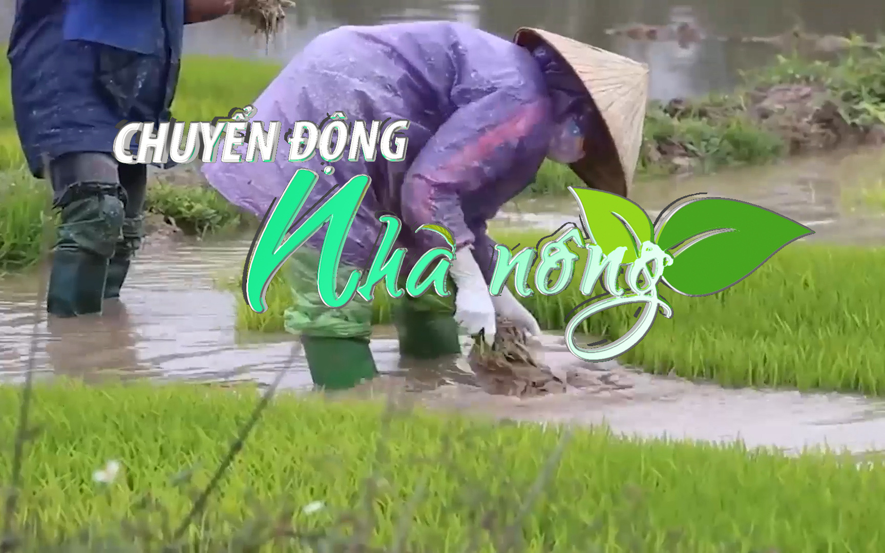 Chuyển động Nhà nông 19/4: Nông dân xoay sở tìm cách thích ứng khi giá vật tư nông nghiệp tăng cao