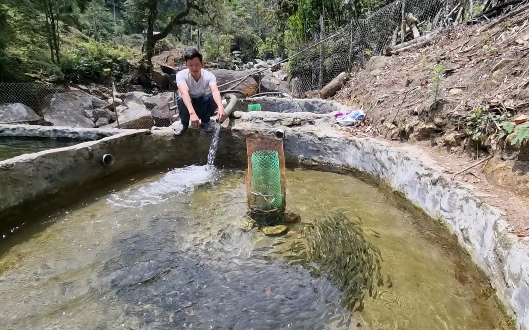 Thanh niên người Mông thu hàng trăm triệu mỗi năm nhờ nuôi con đặc sản dưới chân núi Hoàng Liên Sơn