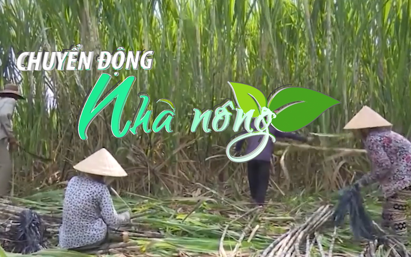 Chuyển động Nhà nông 21/5: Gia hạn điều tra chống lẩn tránh phòng vệ thương mại đường mía thêm 2 tháng