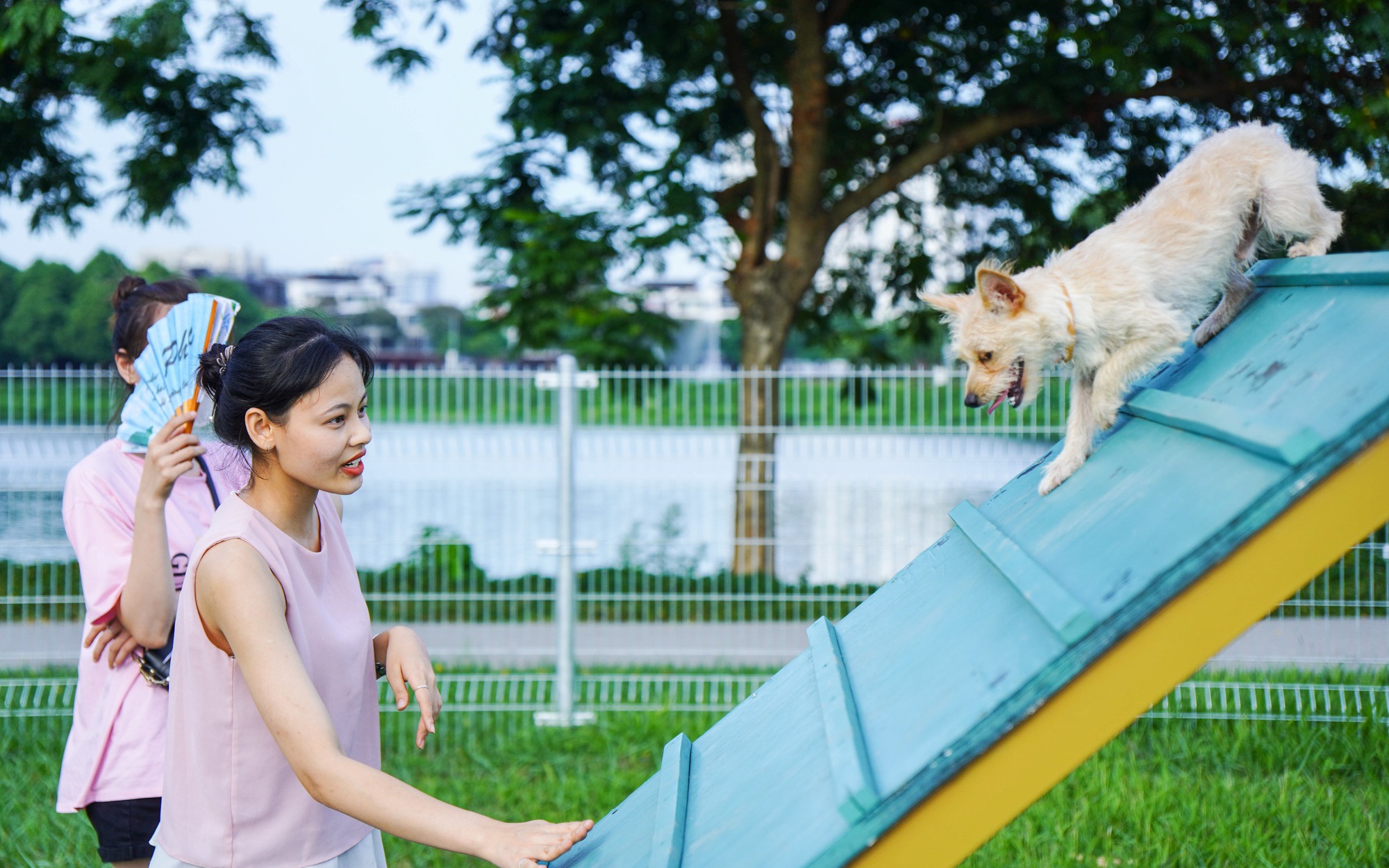 Khám phá bên trong công viên thú cưng đầu tiên ở Hà Nội