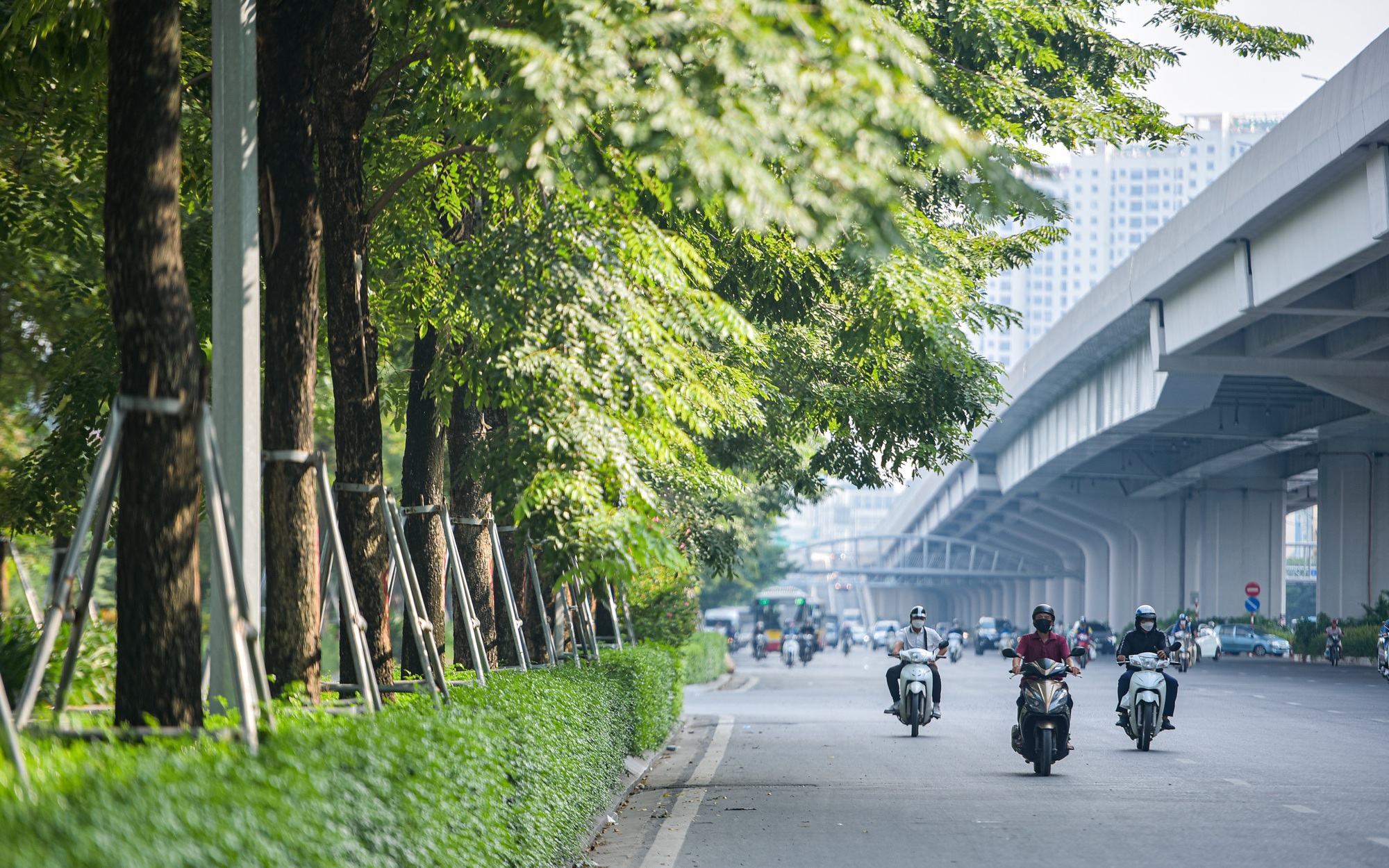 Màu xanh mát mắt trên tuyến đường nghìn tỷ ở Hà Nội