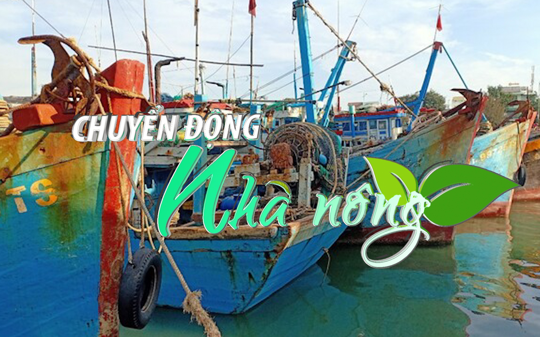 Chuyển động Nhà nông 31/8: Tàu cá nằm bờ la liệt ở cảng vì thiếu dầu