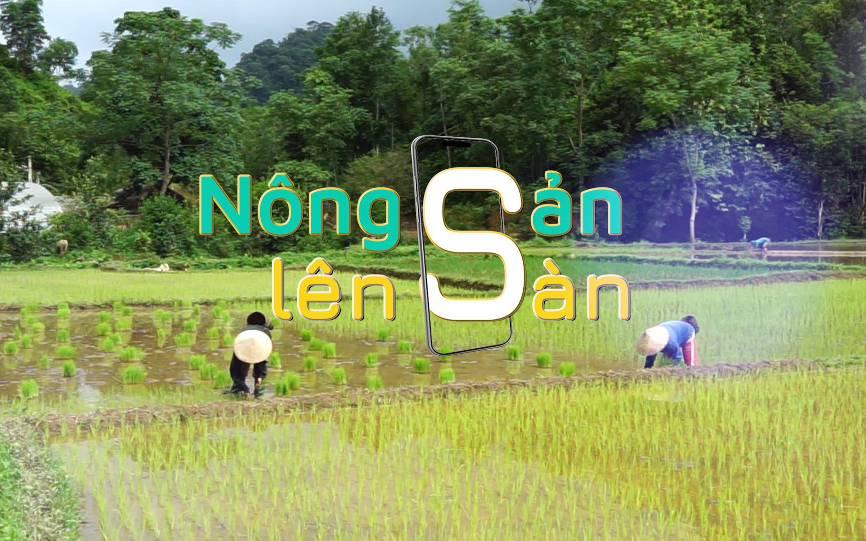 NÔNG SẢN LÊN SÀN: Thứ 