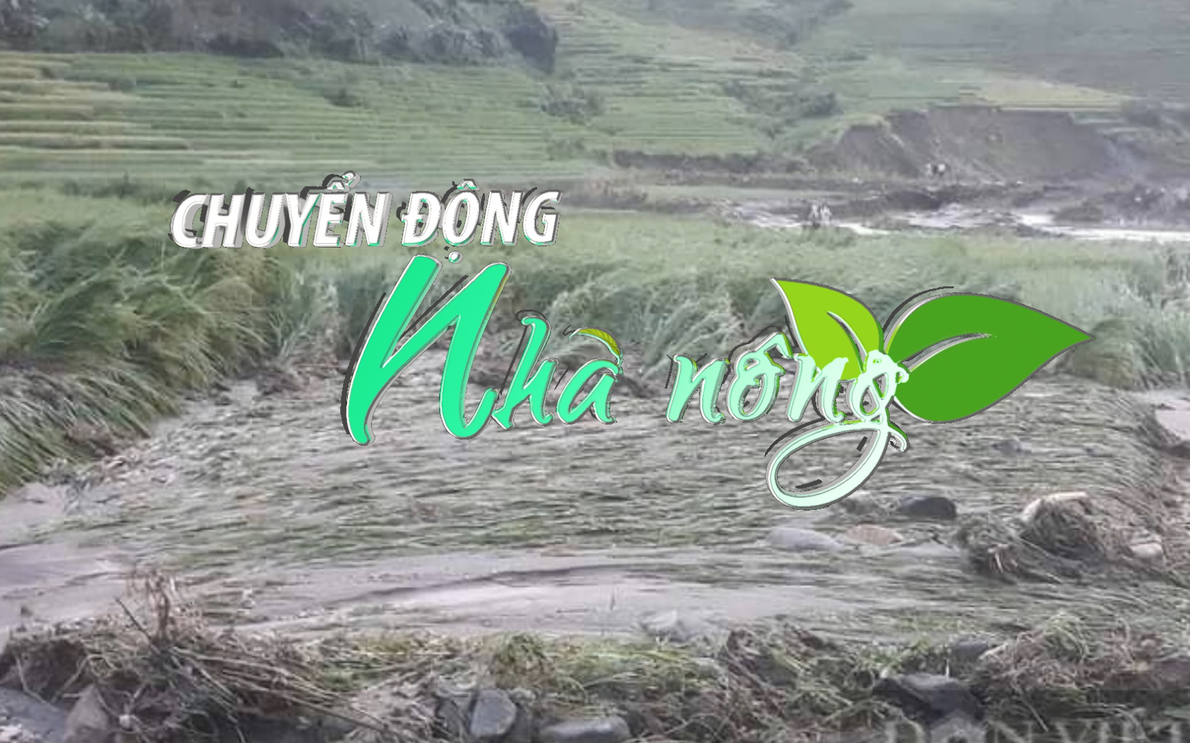 Chuyển động Nhà nông 5/8: Nhiều tài sản và hoa màu của người dân Sa Pa bị lũ cuốn trôi