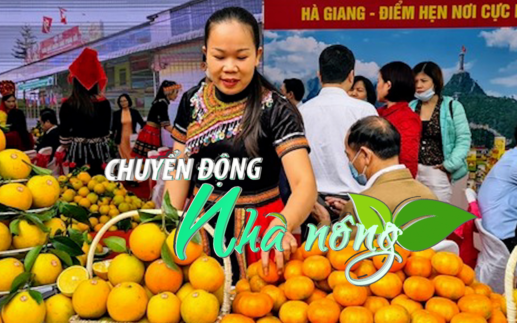 Chuyển động Nhà nông 14/9: Nông đặc sản và sản phẩm cây có múi hội tụ tại AgroViet 2022