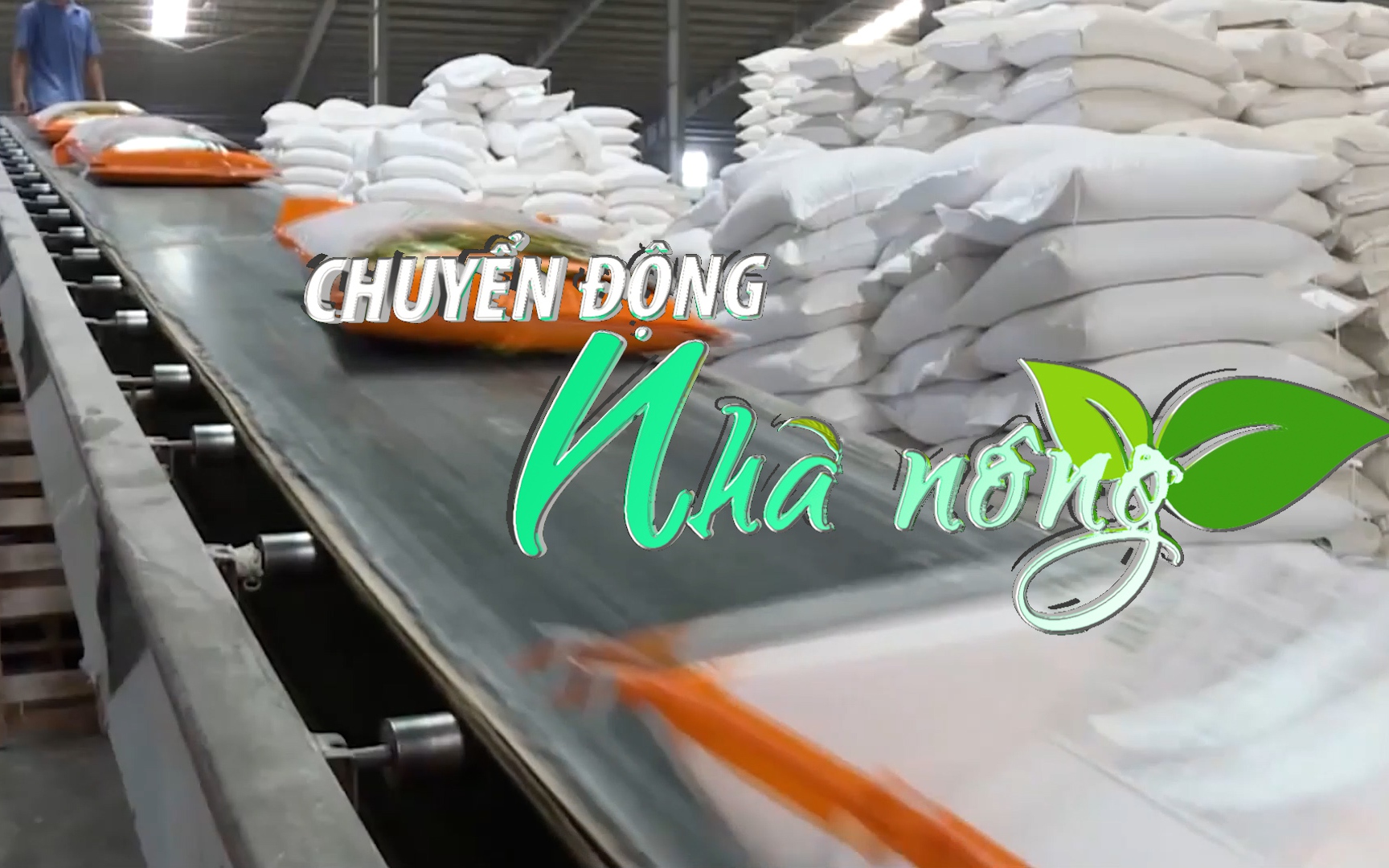 Chuyển động Nhà nông 21/9: Xuất khẩu gạo tăng hiếm thấy