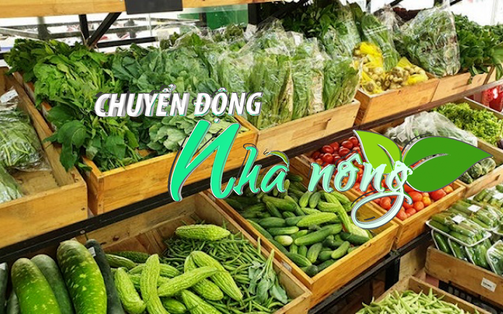 Chuyển động Nhà nông 24/9: Đề nghị thanh tra đột xuất nếu có dấu hiệu tuồn rau sạch 