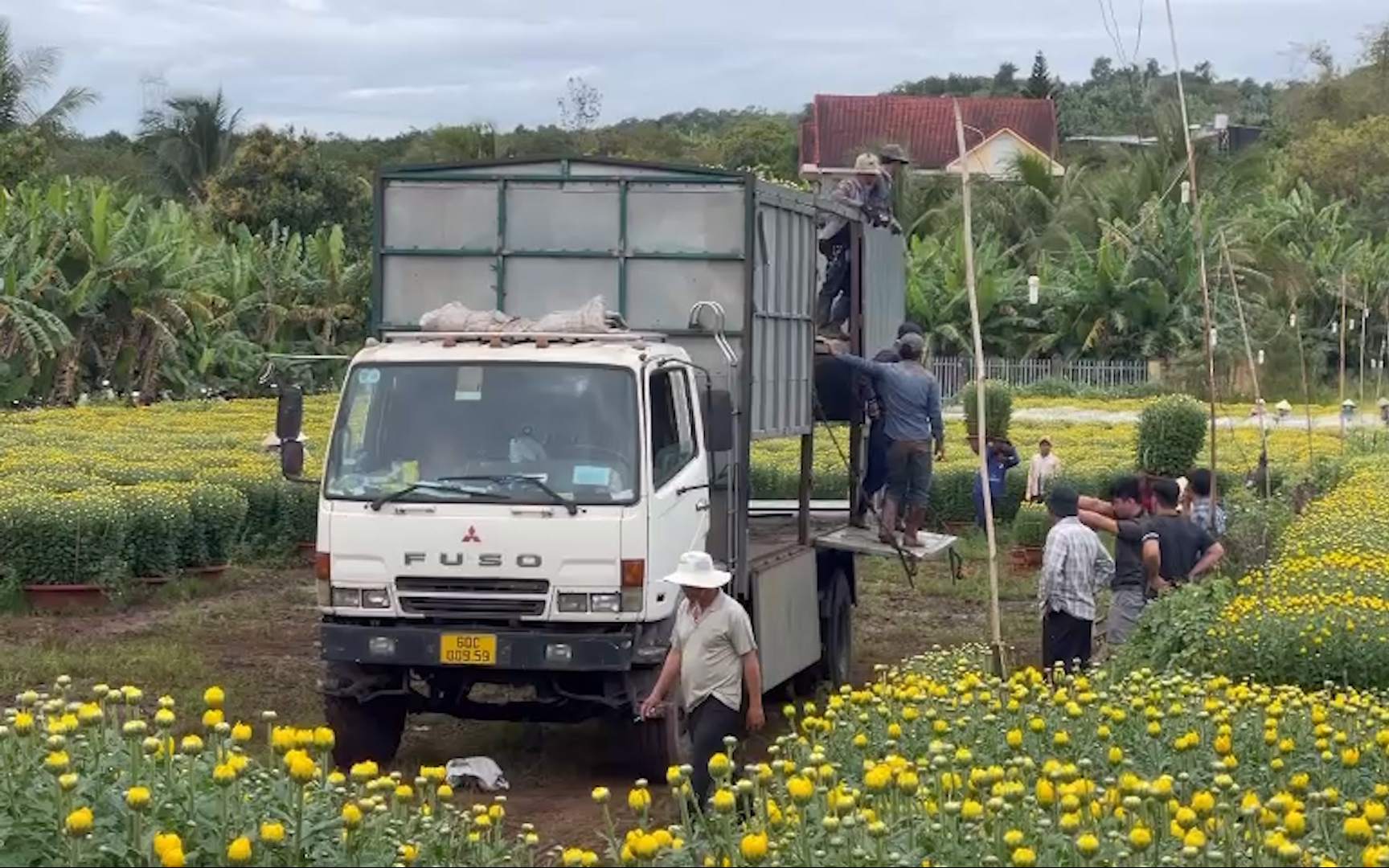 Làng hoa lớn nhất Đồng Nai sẵn sàng phục vụ thị trường Tết