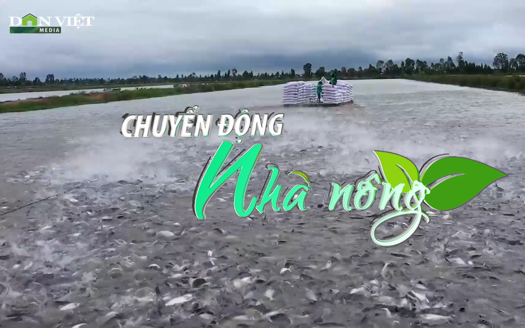 Chuyển động Nhà nông 30/1: Nhu cầu cá tra và rô phi tại Mỹ có thể tăng trở lại trong năm 2023