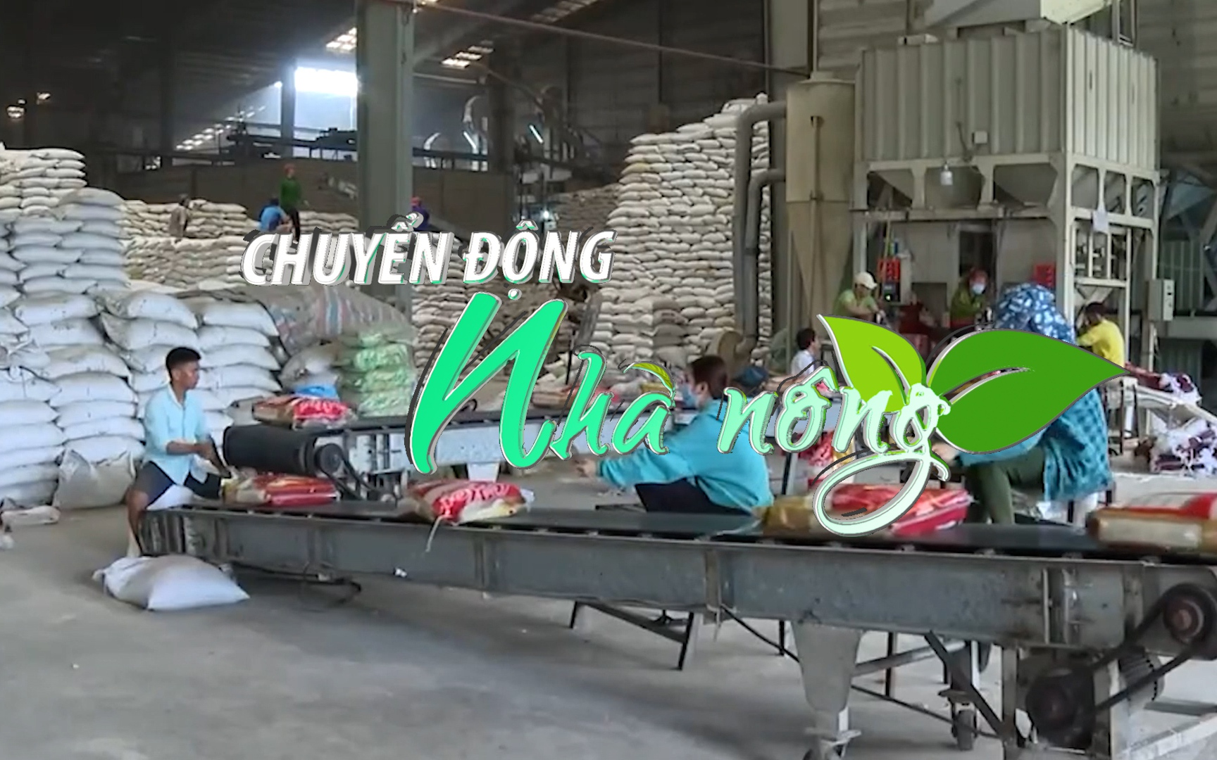 Chuyển động Nhà nông 30/10: Kim ngạch xuất khẩu gạo đạt đỉnh nhiều năm chỉ sau 10 tháng