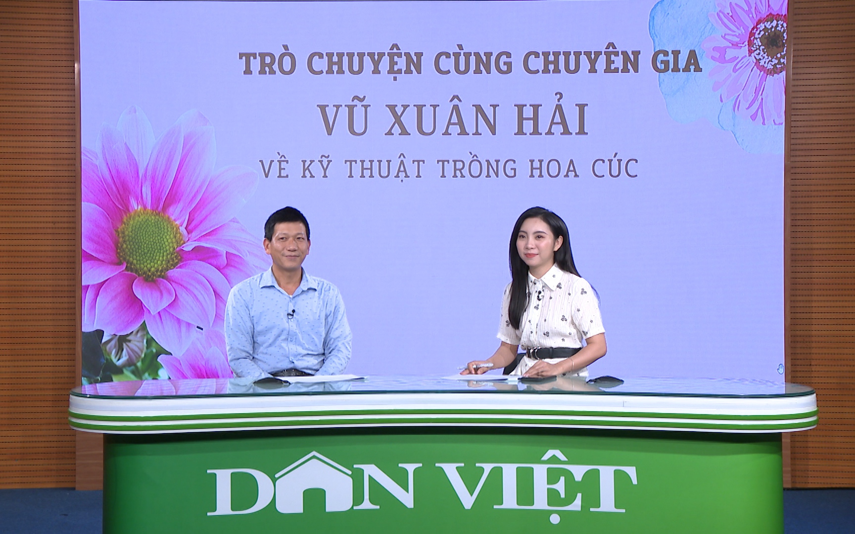 GÓC CHUYÊN GIA: Bệnh úa, vàng lá thường gặp ở cây hoa cúc và cách xử lý 