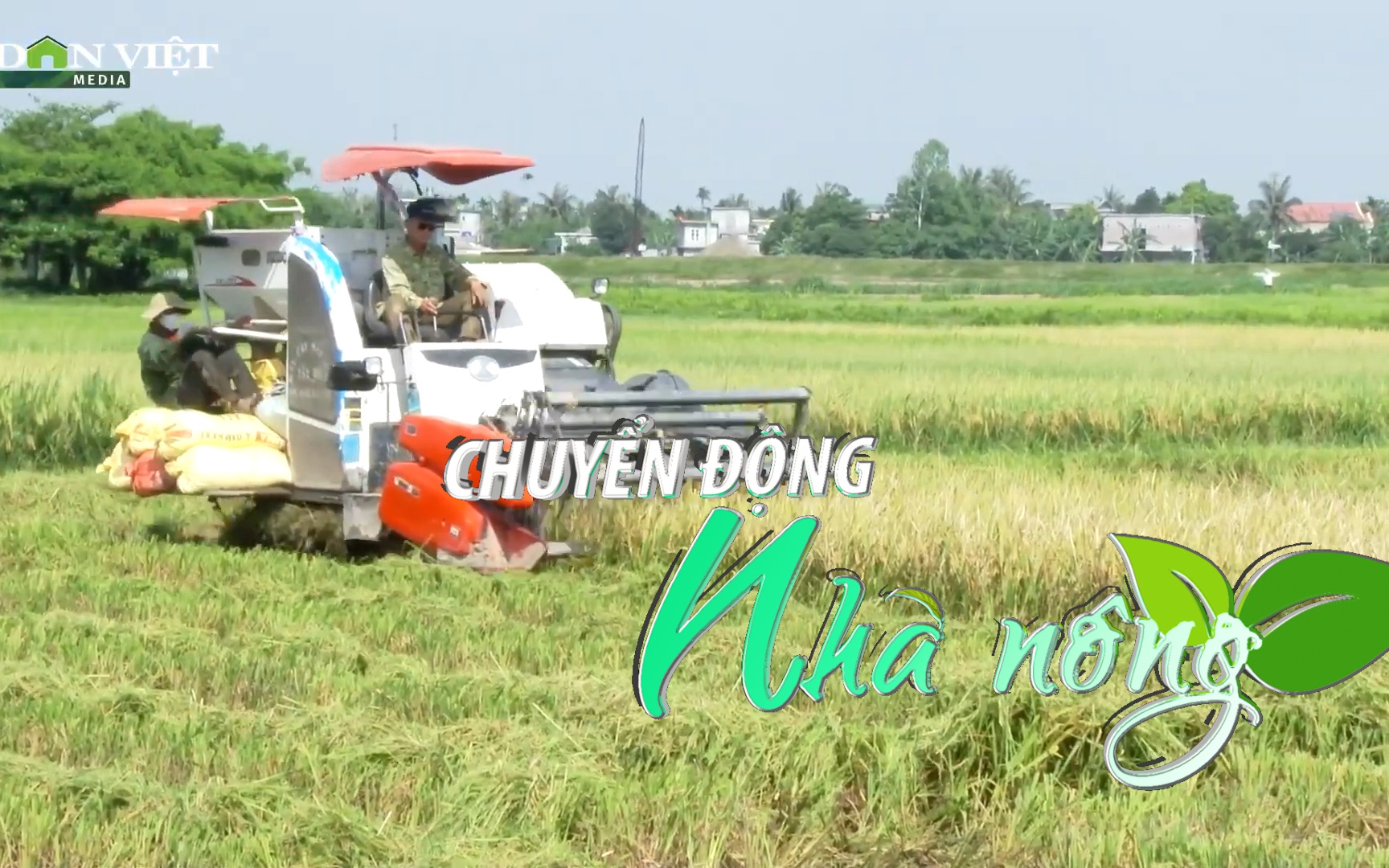 Chuyển động Nhà nông 8/11: Toàn bộ diện tích lúa hữu cơ ở Tứ Kỳ (Hải Dương) được bao tiêu với giá cao