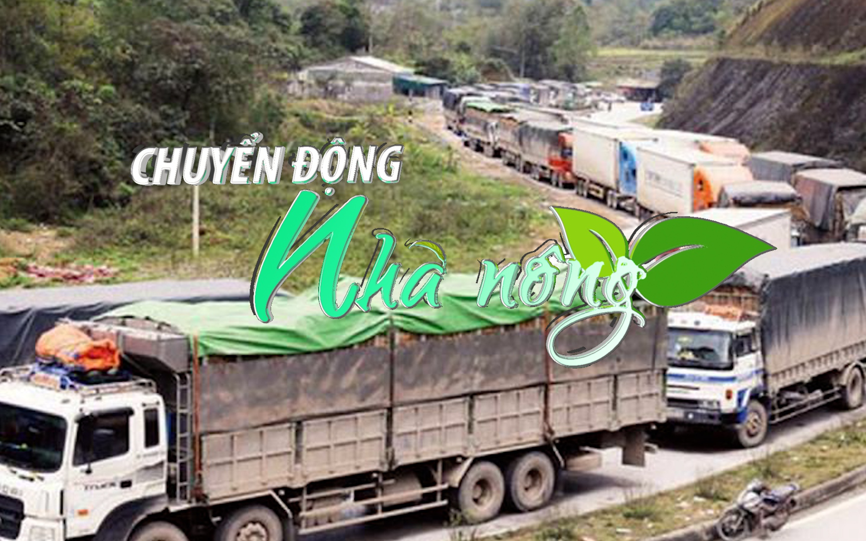 Chuyển động Nhà nông 10/2: Nông sản ùn ùn sang Trung Quốc, giá nhiều loại trái cây tăng mạnh