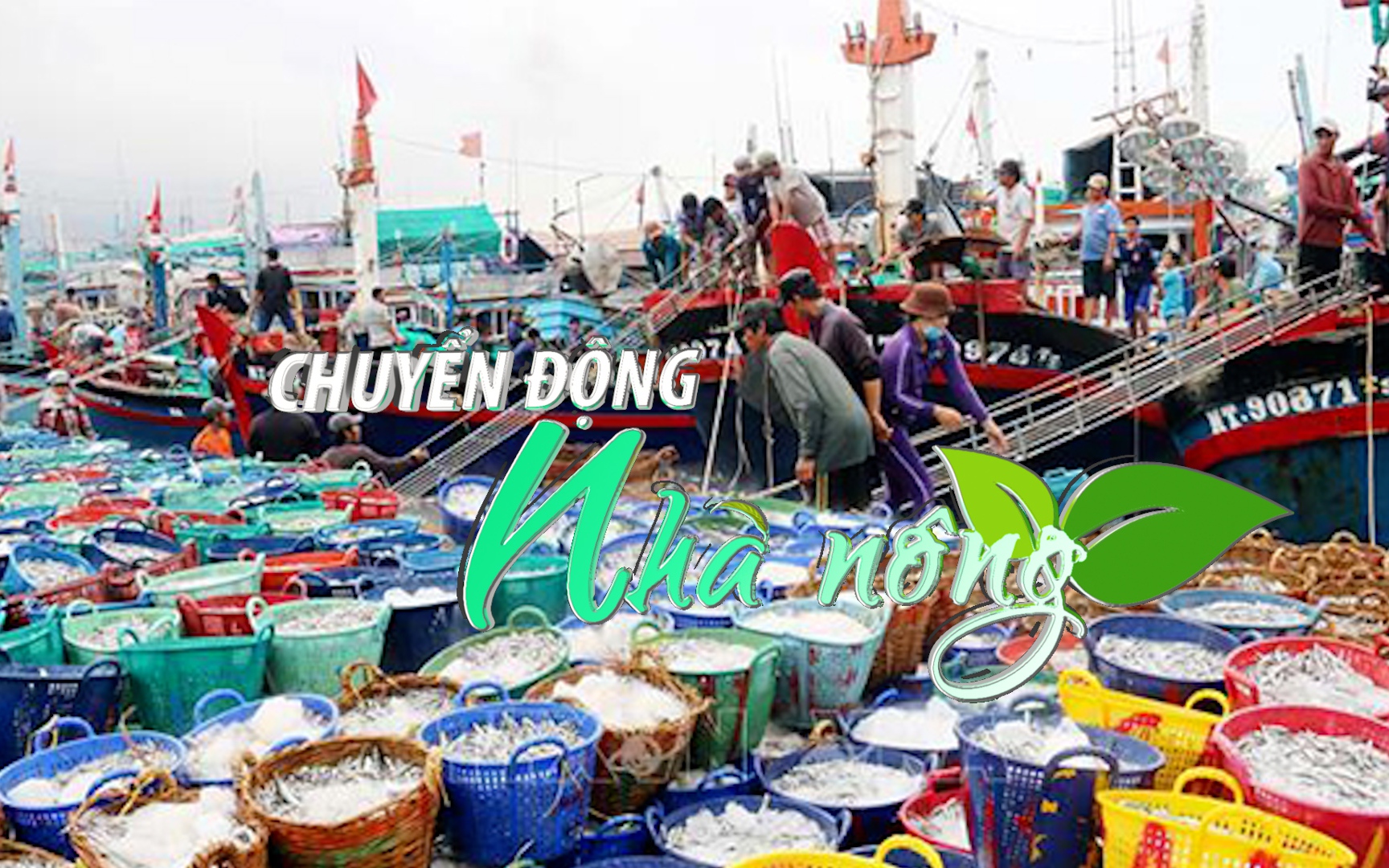 Chuyển động Nhà nông 2/2: Tổng sản lượng thủy sản tháng 1-2023 ước đạt 592,1 nghìn tấn