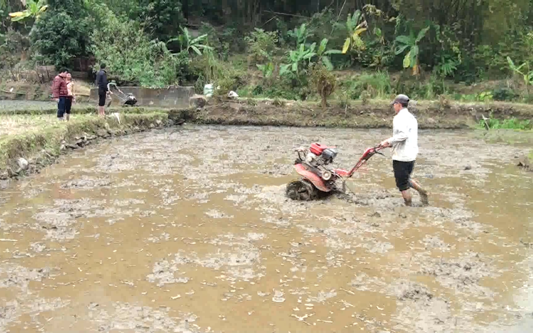 Nông dân vùng cao hối hả vào vụ xuân