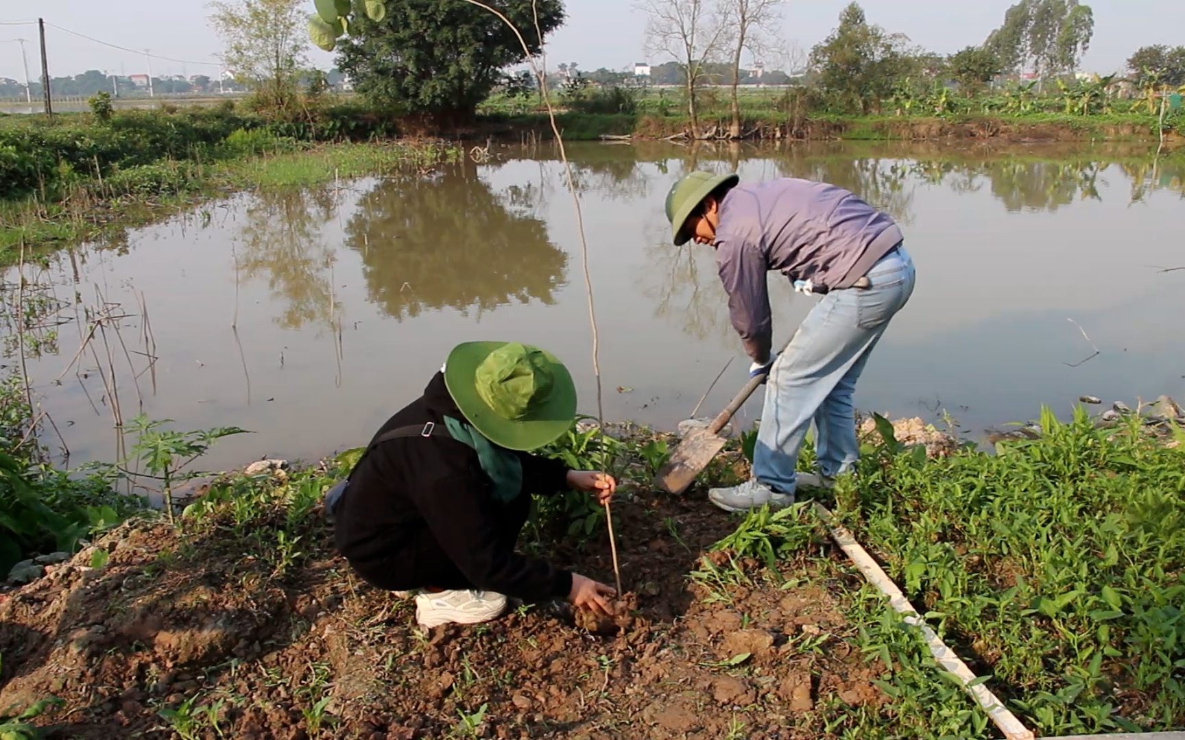 Hàng trăm bạn trẻ thủ đô hào hứng tham gia ngày hội trồng cây xanh tại Hà Nam