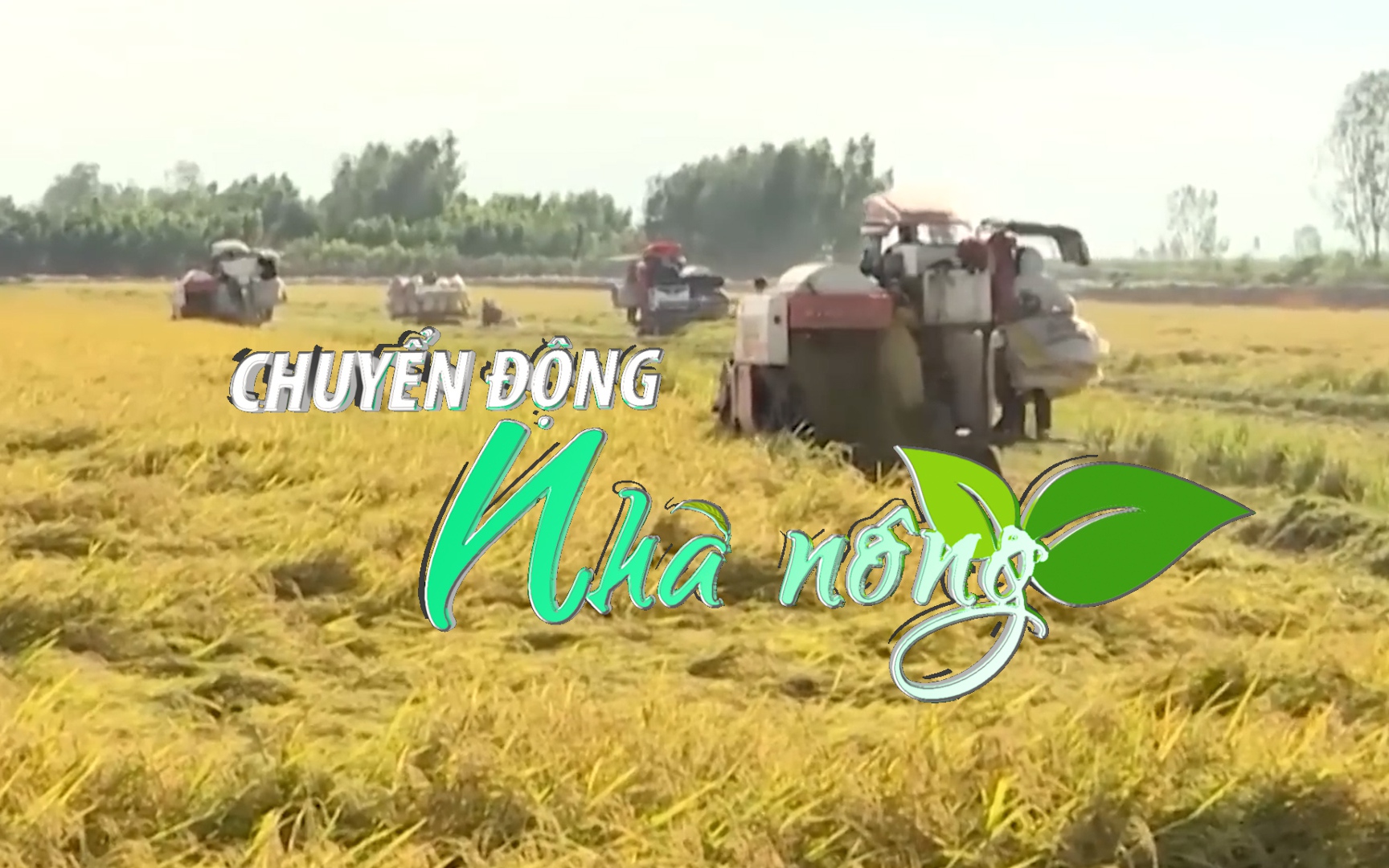 Chuyển động Nhà nông 3/2: Nông dân ĐBSCL phấn khởi lúa đông xuân sớm trúng mùa, trúng giá 