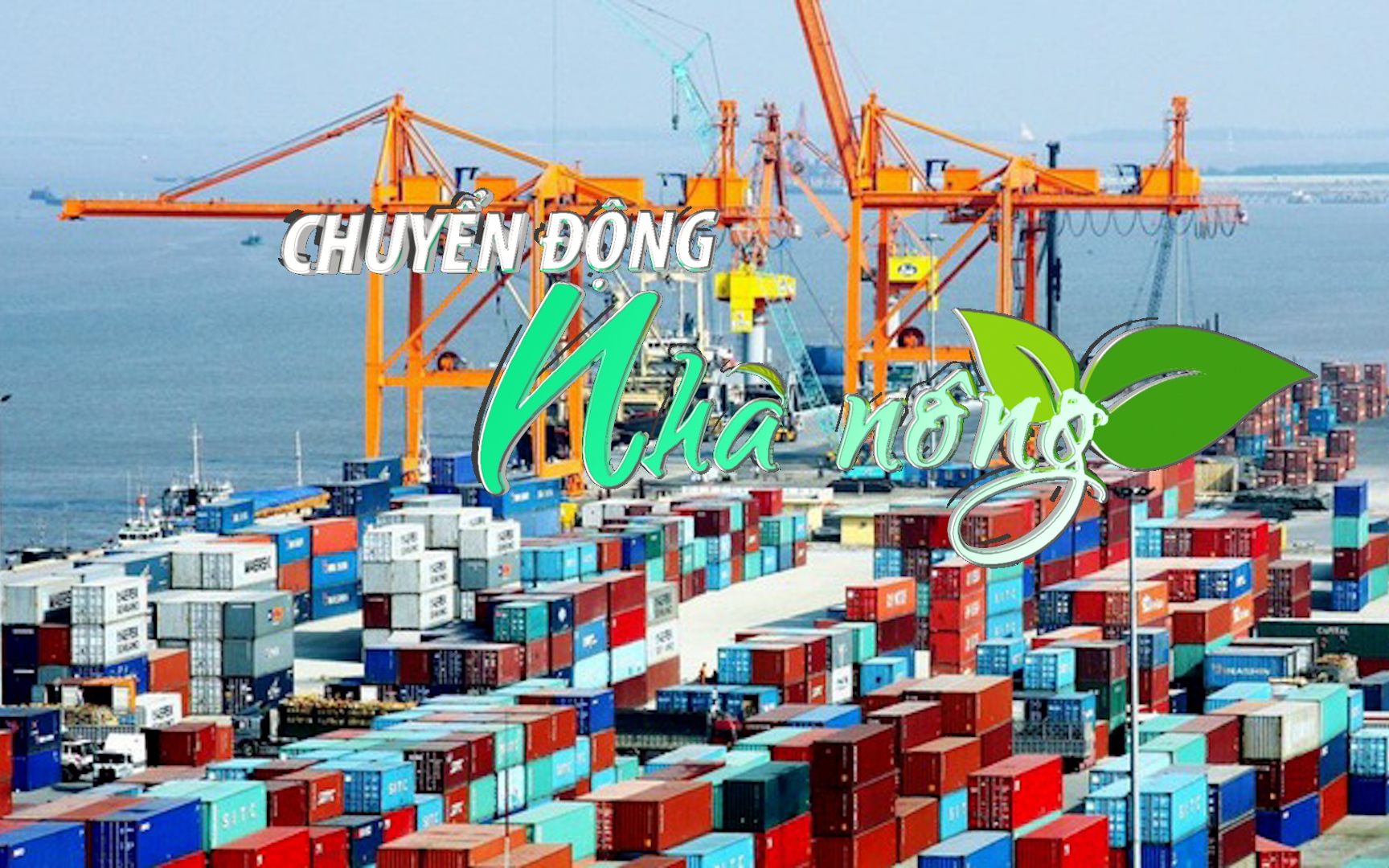 Chuyển động Nhà nông 29/3: Việt Nam đặt mục tiêu xuất khẩu lương thực, thực phẩm đạt hơn 30 tỷ USD/năm