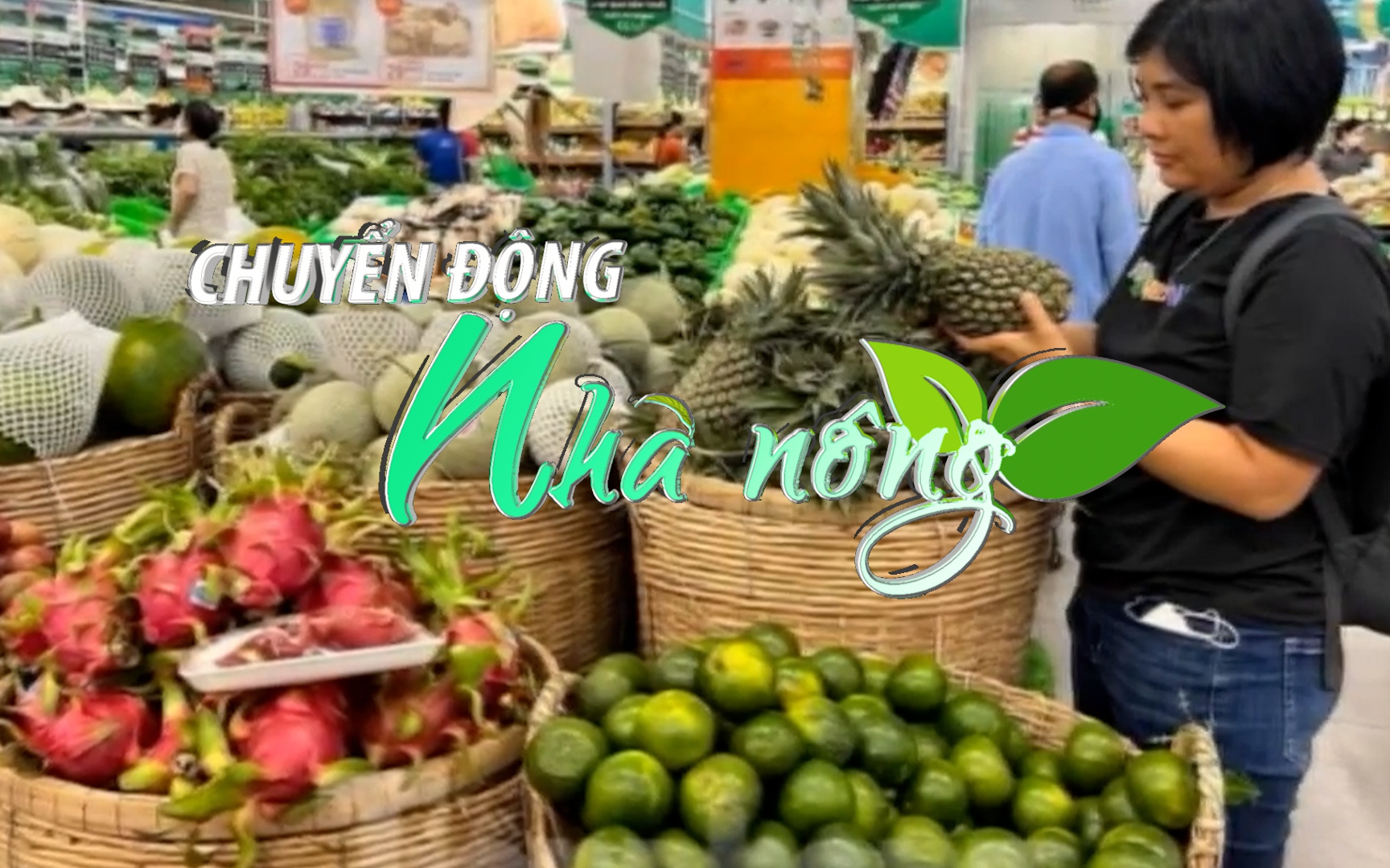 Chuyển động Nhà nông 10/5: Giá một số loại trái cây Trà Vinh giảm mạnh, nhà vườn thất thu