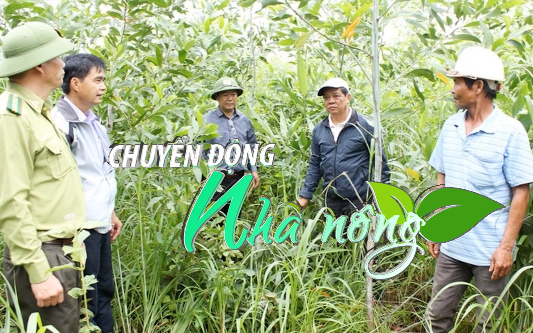 Chuyển động Nhà nông 19/5: Hơn 31ha rừng keo lai ở Gia Lai chết bất thường