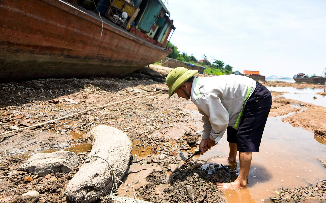 Cảnh đi bộ ra giữa sông Đà để mò tìm... 