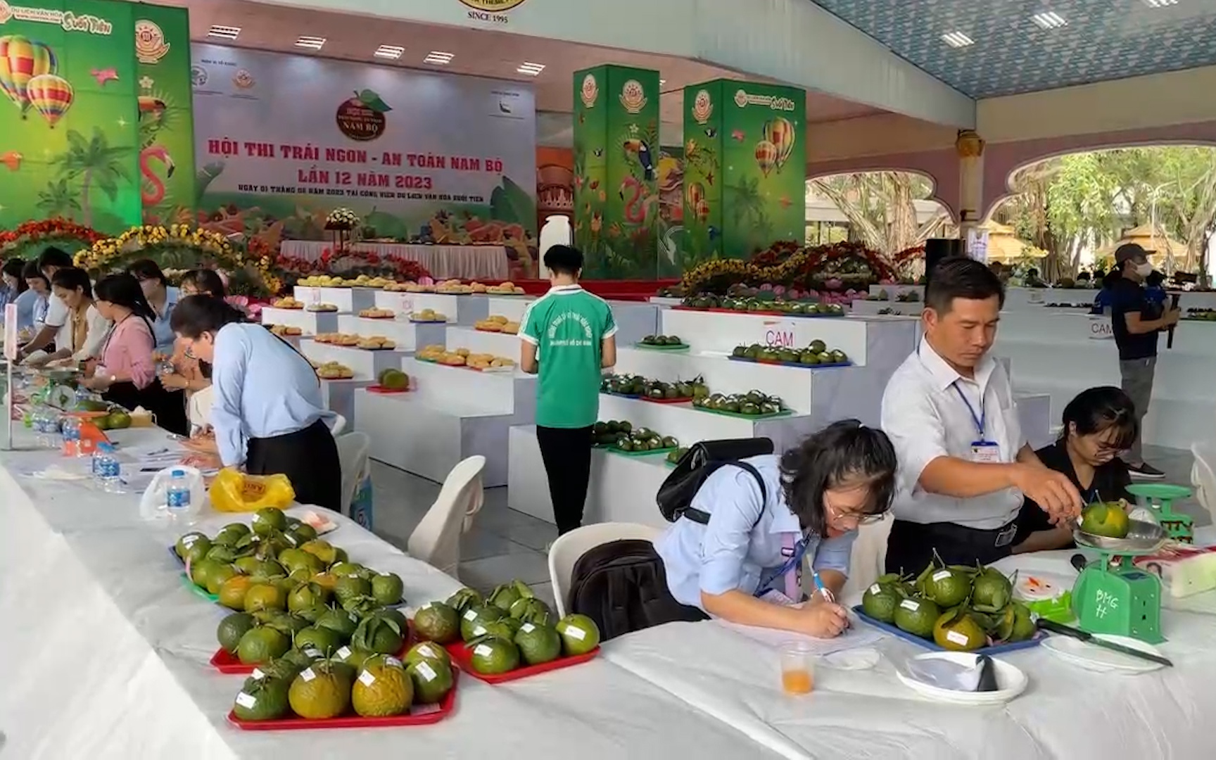 Hội thi Trái ngon - An toàn Nam Bộ: Nhiều nông dân thi hoài vẫn không được giải cao, sao năm nào cũng đi?