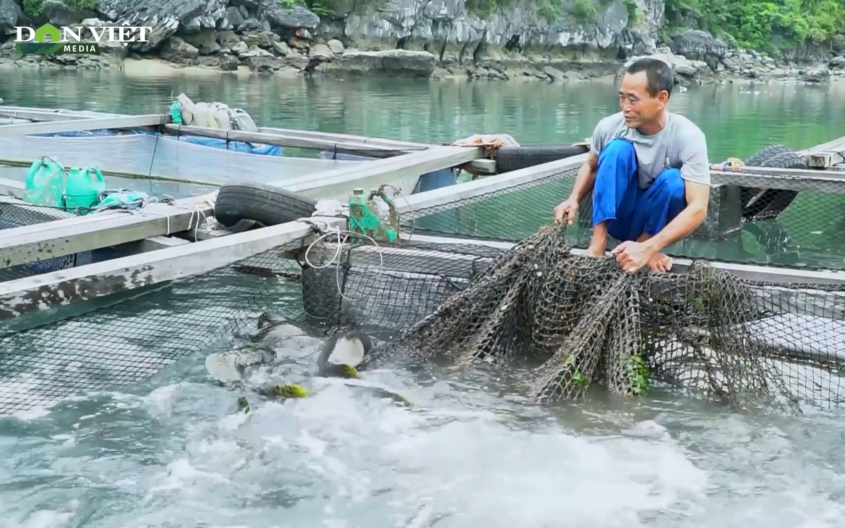 Gỡ thẻ vàng IUU bằng phát triển nuôi trồng thủy sản trên biển