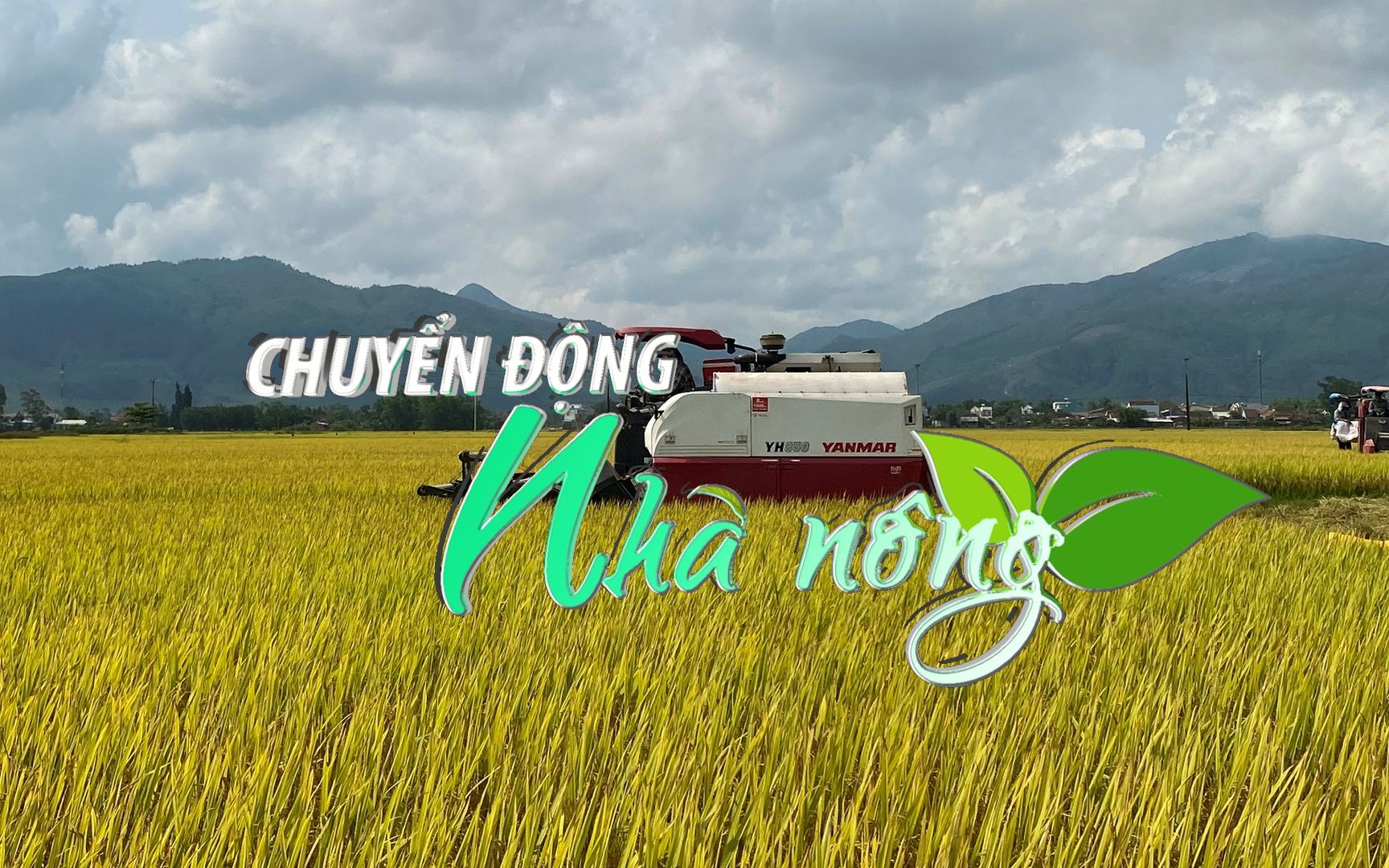 Chuyển động Nhà nông 22/8: Lúa hè thu được mùa nông dân Bình Định phấn khởi