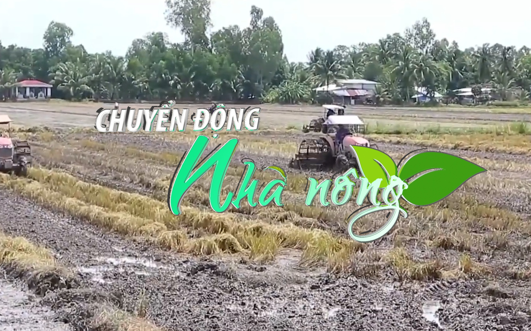 Chuyển động Nhà nông 26/8: Nông dân Hậu Giang phấn khởi gieo sạ lúa Thu đông sớm vượt kế hoạch 1.000 ha