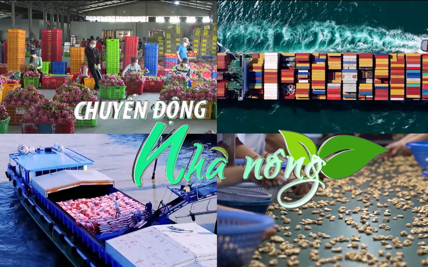 Chuyển động Nhà nông 30/9: Dự báo nông nghiệp về đích ngoạn mục, nhưng vẫn lo nông sản “quay đầu”