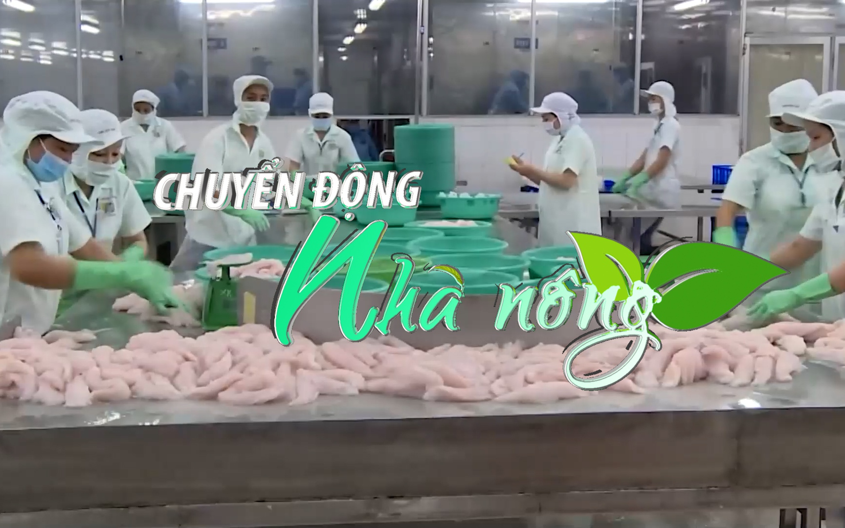 Chuyển động Nhà nông 6/9: Thị trường xuất khẩu thủy sản vẫn chưa phục hồi như kỳ vọng