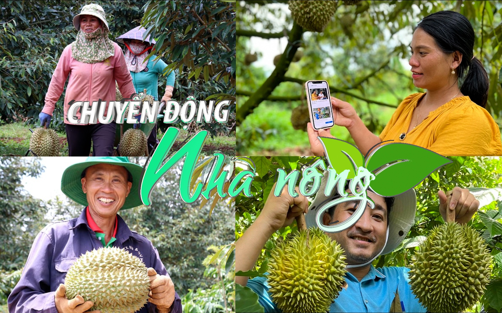 Chuyển động Nhà nông 3/1: Vụ sầu riêng 