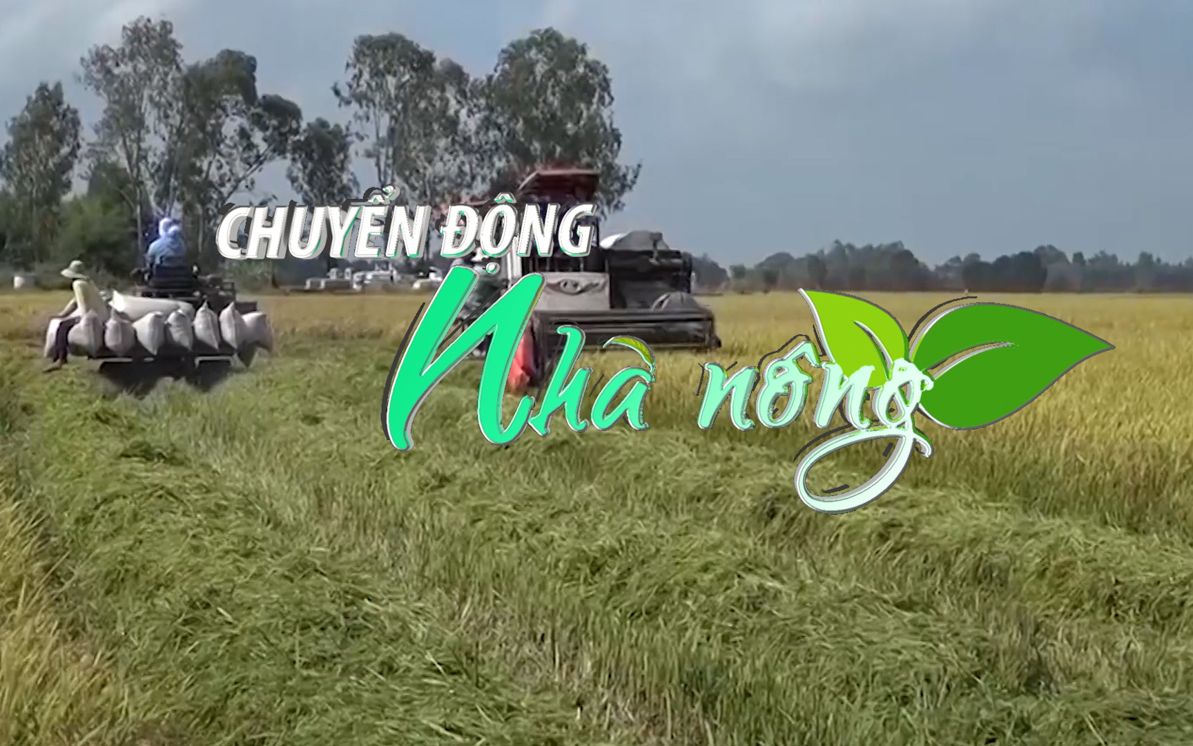 Chuyển động Nhà nông 4/1: Long An sẵn sàng triển khai Đề án 1 triệu hécta lúa chất lượng cao 