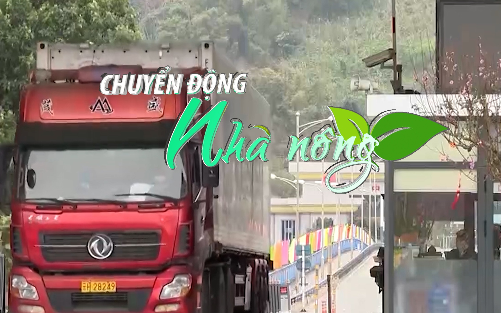 Chuyển động Nhà nông 15/2: Doanh nghiệp nhộn nhịp mở hàng, thông quan hàng chục tấn nông sản