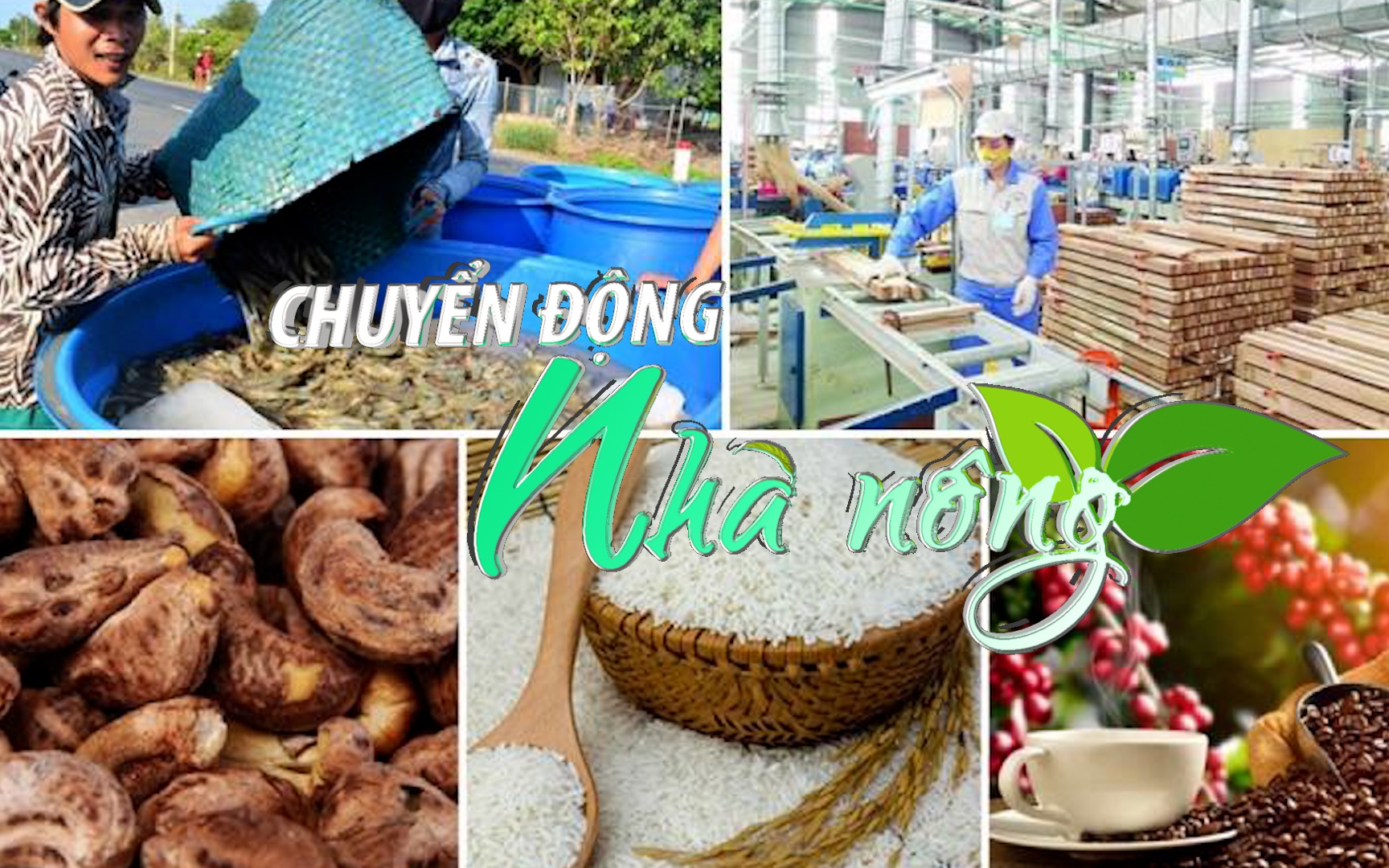 Nông lâm thủy sản xuất siêu tăng 4,6 lần trong tháng 1/2024