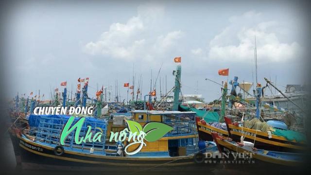 Chuyển động Nhà nông 1/11: Lâm Đồng xử lý dứt điểm 100% tàu cá mất kết nối VMS loading=