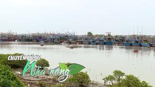 Chuyển động Nhà nông 23/9: Địa phương chạy đua ứng phó siêu bão RAGASA