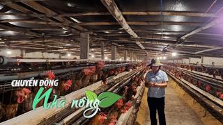 Chuyển động Nhà nông 27/9: Nông dân Hải Phòng "đổi đời" nhờ nuôi gà đẻ, thu lãi 1,25 tỷ đồng