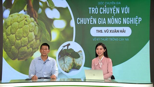 GÓC CHUYÊN GIA: Những kỹ thuật nông dân không thể không biết khi trồng cây na