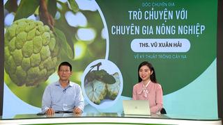 GÓC CHUYÊN GIA: Những điều nhà nông cần biết rõ khi trồng cây na