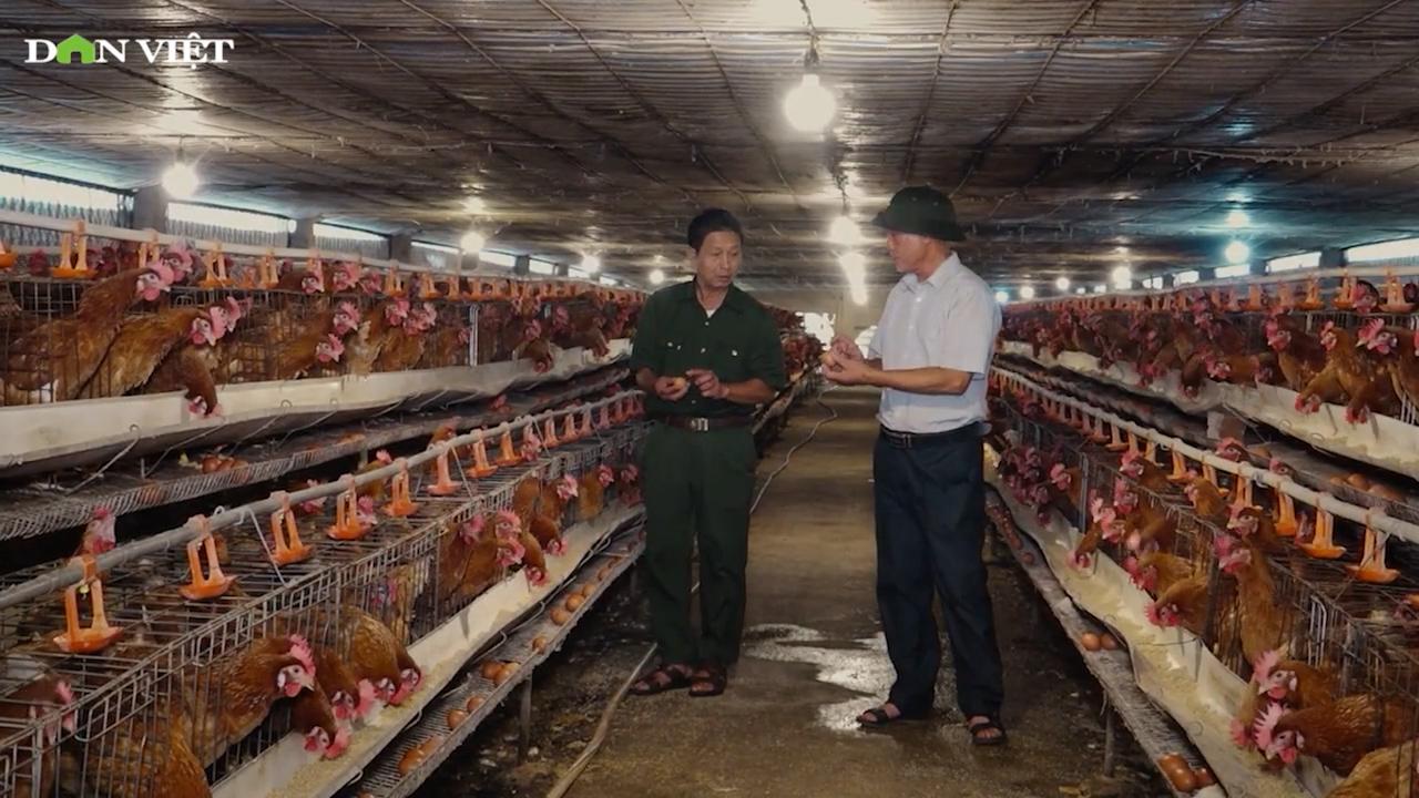 Hội Nông dân Ninh Bình tạo sức bật từ vốn hỗ trợ, lan tỏa mô hình kinh tế hiệu quả