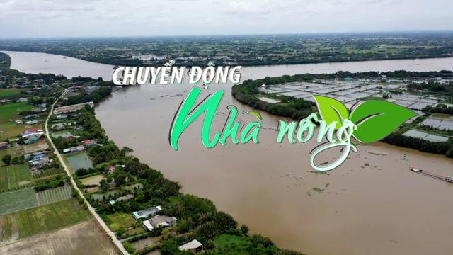 Chuyển động Nhà nông 3/4: Mặn xâm nhập sâu từ giữa tháng Tư, cần bảo vệ bờ bao tại khu vực ĐBSCL