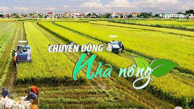 Chuyển động Nhà nông 3/7: Đề xuất tiếp tục miễn thuế sử dụng đất nông nghiệp đến hết năm 2030