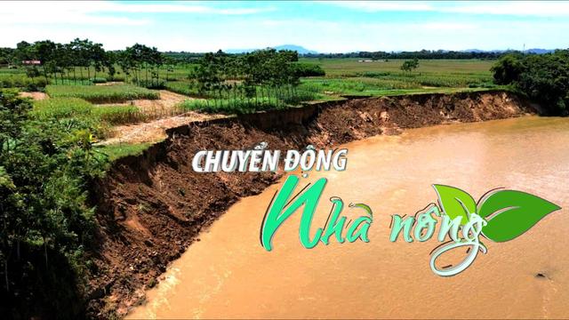 Chuyển động Nhà nông 3/10:  Nguy cơ mất đất từ sạt lở sông Chu ở Thanh Hoá