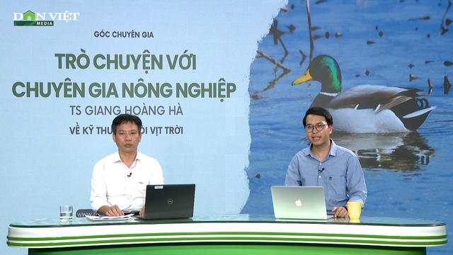 GÓC CHUYÊN GIA: Nuôi vịt trời giai đoạn sinh sản cần lưu ý điều gì?