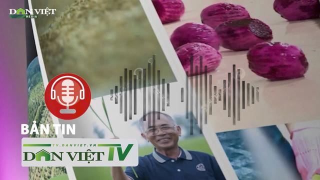 Bản tin Dân Việt TV 6/12: Ấn tượng loạt tác phẩm phát thanh dự Giải báo chí về nông nghiệp, nông dân, nông thôn