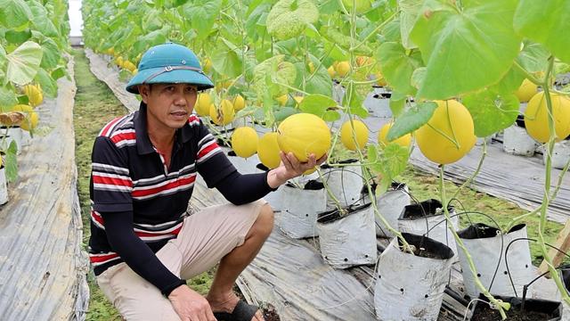 Thiệu Hóa bứt phá trong xây dựng nông thôn mới từ mô hình nhà màng công nghệ cao