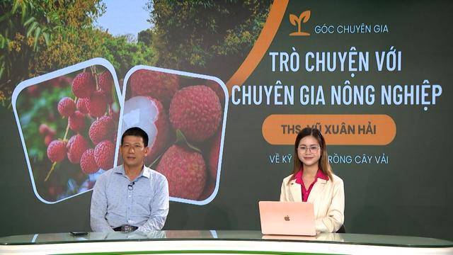 GÓC CHUYÊN GIA: Hướng dẫn cung cấp nước cho cây vải theo từng giai đoạn 